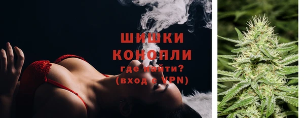дмт Инта