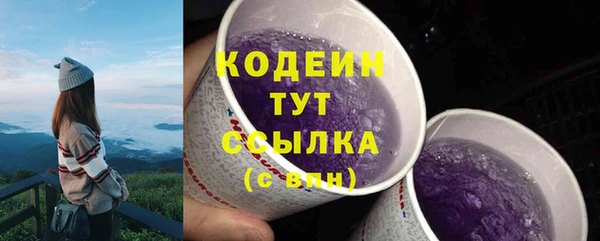 дмт Инта