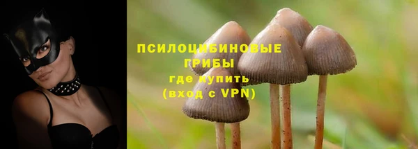 дмт Инта