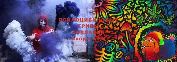 дмт Инта