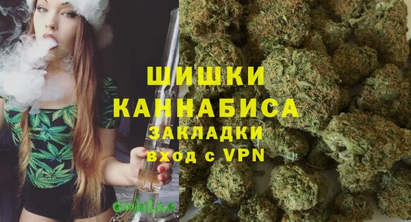 дмт Инта