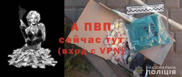 спиды Инсар