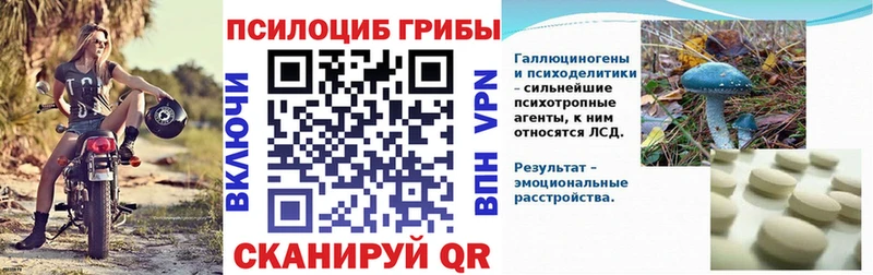 Купить где  Донской  Галлюциногенные грибы мицелий 